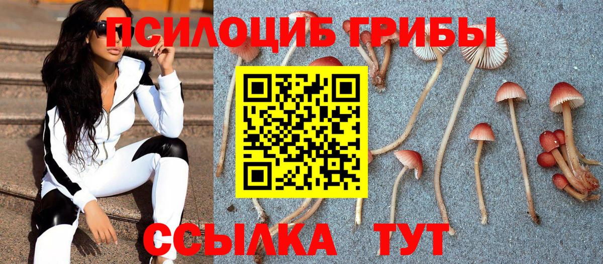 купить закладку  Псилоцибиновые грибы Psilocybine cubensis  Вход с VPN  Псилоцибиновые грибы Psilocybine cubensis  Йошкар-Ола 